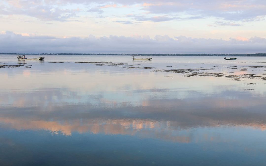 Le Golfe du Morbihan dans l’attente d’une éclipse…