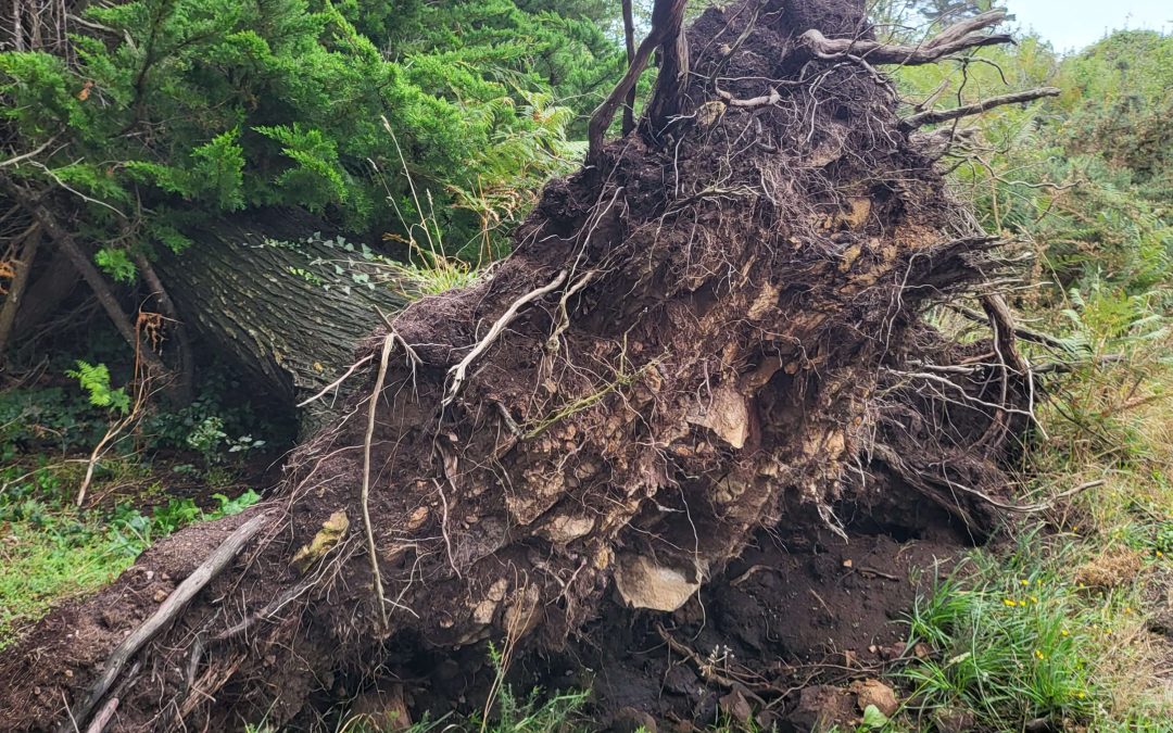 Tu t&rsquo;es cru invincible !